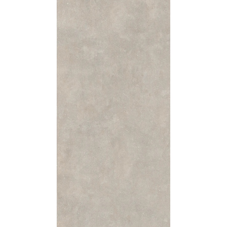 Casalgrande Padana Concept С000618511 018722834_CONCEPT GREIGE BOCCIARDATO RET 60 x 120 porcelain tile 60x120 cm, Italy, concrete - photo 1 Casalgrande Padana Concept С000618511 018722834_CONCEPT GREIGE BOCCIARDATO RET 60 x 120 porcelain tile 60x120 cm, Italy, concrete - photo 1