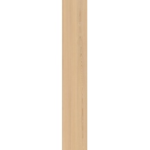Casalgrande Padana Elements Essence 019100080 ESSENCE BROWN RET gres porcellanato 20x120 cm, Italia, legno - foto 1 - foto 1