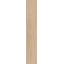 Casalgrande Padana Elements Essence 019100081 ESSENCE TAUPE RET gres porcellanato 20x120 cm, Italia, legno - foto 1 - foto 1