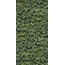 Casalgrande Padana Limpha С000476898 11560023_ArboreaA grès cérame 120x240 cm, Italie - photo 1 Casalgrande Padana Limpha С000476898 11560023_ArboreaA grès cérame 120x240 cm, Italie - photo 1