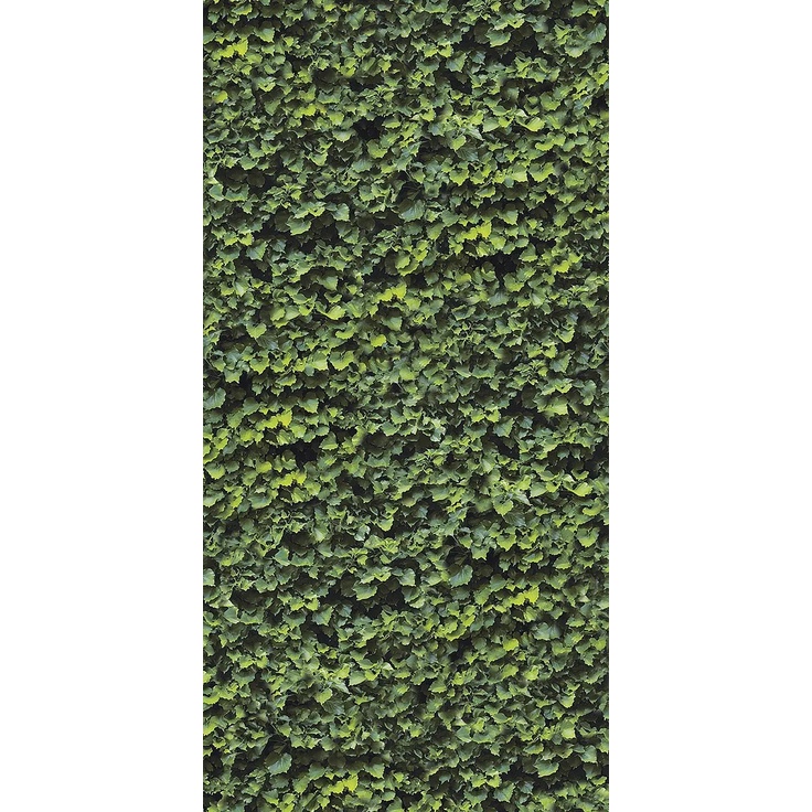 Casalgrande Padana Limpha С000476898 11560023_ArboreaA grès cérame 120x240 cm, Italie - photo 1 Casalgrande Padana Limpha С000476898 11560023_ArboreaA grès cérame 120x240 cm, Italie - photo 1