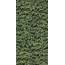 Casalgrande Padana Limpha С000476907 11560323_ArboreaD porcelænsflise 120x240 cm, Italien - foto 1