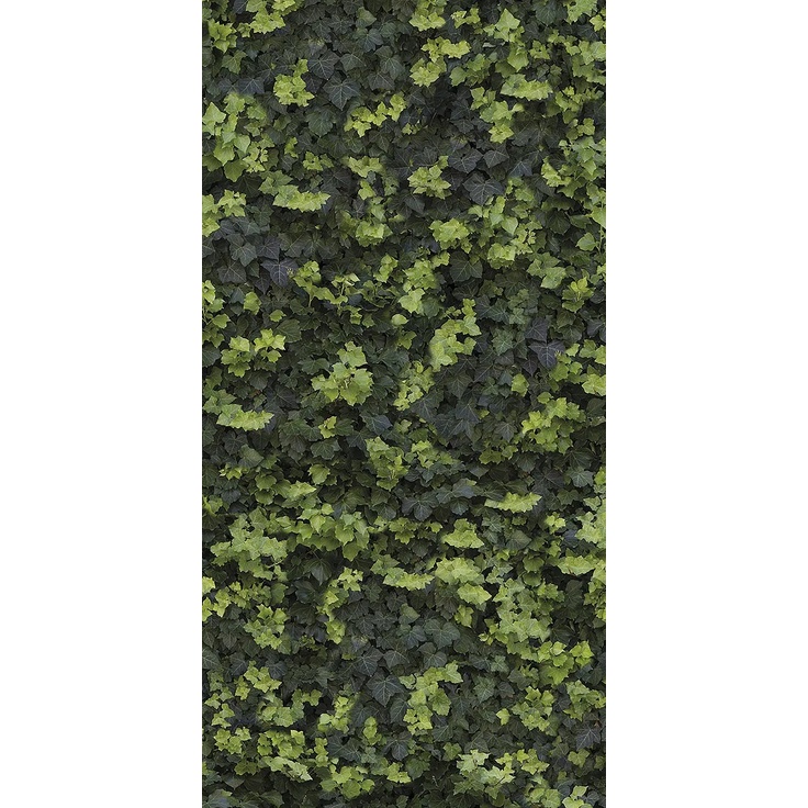 Casalgrande Padana Limpha С000476912 11562522_HelixDSelf-Cleaning gres porcelanowy 120x240 cm, Włochy - zdjęcie 1 Casalgrande Padana Limpha С000476912 11562522_HelixDSelf-Cleaning gres porcelanowy 120x240 cm, Włochy - zdjęcie 1