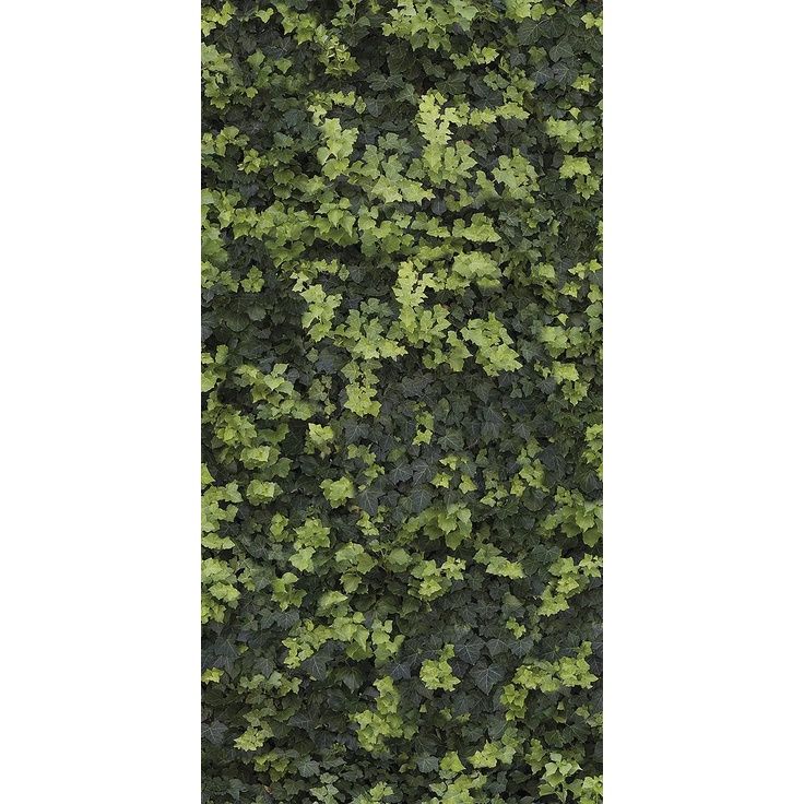 Casalgrande Padana Limpha С000476909 11562222_HelixASelf-Cleaning porcelain tile 120x240 cm, Italy - photo 1 Casalgrande Padana Limpha С000476909 11562222_HelixASelf-Cleaning porcelain tile 120x240 cm, Italy - photo 1