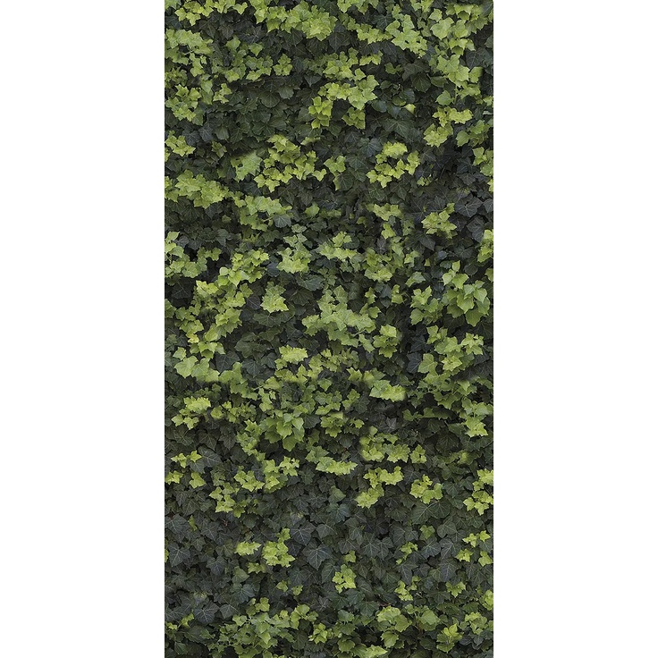 Casalgrande Padana Limpha С000476911 11562422_HelixCSelf-Cleaning porcelænsflise 120x240 cm, Italien - foto 1 Casalgrande Padana Limpha С000476911 11562422_HelixCSelf-Cleaning porcelænsflise 120x240 cm, Italien - foto 1