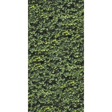 Casalgrande Padana Limpha С000476898 11560023_ArboreaA porcelanato 120x278 cm, Italia - foto 1 - foto 1
