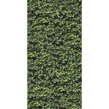 Casalgrande Padana Limpha С000476907 11560323_ArboreaD porcelanato 120x278 cm, Italia - foto 1 - foto 1