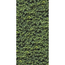 Casalgrande Padana Limpha С000476904 11560223_ArboreaC porcelanato 120x278 cm, Italia - foto 1 - foto 1