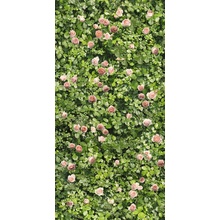 Casalgrande Padana Limpha С000476913 12560028_CoralRose porcelanato 120x278 cm, Italia - foto 1 - foto 1