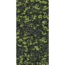Casalgrande Padana Limpha С000476910 11562322_HelixBSelf-Cleaning porcelanato 120x278 cm, Italia - foto 1 - foto 1