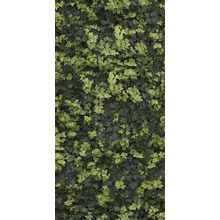 Casalgrande Padana Limpha С000476909 11562222_HelixASelf-Cleaning porcelanato 120x278 cm, Italia - foto 1 - foto 1