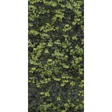 Casalgrande Padana Limpha С000476911 11562422_HelixCSelf-Cleaning porcelanato 120x278 cm, Italia - foto 1 - foto 1
