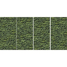 Casalgrande Padana Limpha 11560423 Arborea Decoração 120x240 cm, Itália - foto 1 - foto 1