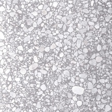 Casalgrande Padana Macro С000476941 11950296_MacroGrigioLucido porcelanato 120x120 cm, Italia, terrazzo - foto 1 - foto 1