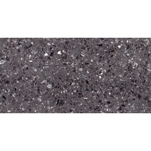 Casalgrande Padana Macro 11900295 Carnico Lucido porcelain tile 118x236 cm, Italy, terrazzo - photo 1 - photo 1