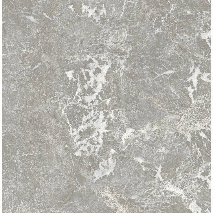 Casalgrande Padana Marmora С000610830 17740257_GRIGIO ANTICO LUCIDO grès cérame 60x60 cm, Italie, autres types de marbre - photo 1 Casalgrande Padana Marmora С000610830 17740257_GRIGIO ANTICO LUCIDO grès cérame 60x60 cm, Italie, autres types de marbre - photo 1