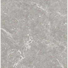 Casalgrande Padana Marmora С000610733 17955157_GRIGIO ANTICO VEIN TOUCH gres porcelanato 120x120 cm, Itália, outros tipos de mármore - foto 1 - foto 1