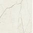 Casalgrande Padana Marmora С000610826 17740214_PALOMBINO LUCIDO gres porcelánový 60x60 cm, Itálie, ostatní druhy mramoru - fotografie 1