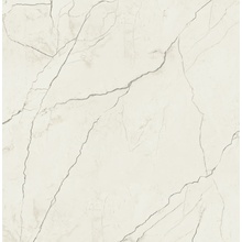 Casalgrande Padana Marmora С000610729 17955114_PALOMBINO VEIN TOUCH gres porcelanato 120x120 cm, Itália, outros tipos de mármore - foto 1 - foto 1