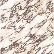 Casalgrande Padana Marmora С000610734 17955213_PAVONAZZETTO SMOOTH gres porcelanato 120x120 cm, Itália, outros tipos de mármore - foto 1 - foto 1