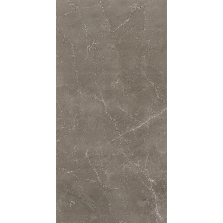 Casalgrande Padana Marmosmart С000498707 12450011_TortoraSmartHoned porcelænsflise 45x90 cm, Italien, andre typer marmor - foto 1 Casalgrande Padana Marmosmart С000498707 12450011_TortoraSmartHoned porcelænsflise 45x90 cm, Italien, andre typer marmor - foto 1