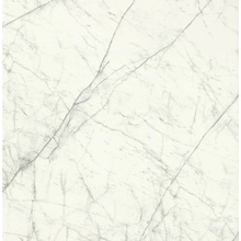 Casalgrande Padana Marmosmart С000498749 12950054_StatuariettoSmartHoned porcelanato 59x59 cm, Italia, estatuario - foto 1 - foto 1