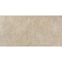 Casalgrande Padana Nature 13040091 Terra Naturale 10mm keramisch graniet 45x90 cm, Italië, beton  - foto 1 - foto 1
