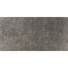 Casalgrande Padana Nature 13044656 Lava Silk 10mm keramisch graniet 45x90 cm, Italië, beton  - foto 1 - foto 1