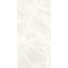 Casalgrande Padana Onici С000560841 11310104_OniceGhiaccio6Mm keramisch graniet 60x120 cm, Italië, onyx - foto 1 - foto 1