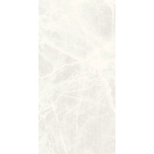 Casalgrande Padana Onici С000560850 11460104_OniceGhiaccio keramisch graniet 60x120 cm, Italië, onyx - foto 1 - foto 1