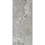 Casalgrande Padana Onici С000560954 14570215_OniceGrigioLucido porcelænsflise 120x278 cm, Italien, onyx - foto 1 Casalgrande Padana Onici С000560954 14570215_OniceGrigioLucido porcelænsflise 120x278 cm, Italien, onyx - foto 1