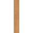 Casalgrande Padana Project Wood С000606007 17100031_PANEVEGGIO gres porcelánový 20x120 cm, Itálie, dřevo - fotografie 1 Casalgrande Padana Project Wood С000606007 17100031_PANEVEGGIO gres porcelánový 20x120 cm, Itálie, dřevo - fotografie 1