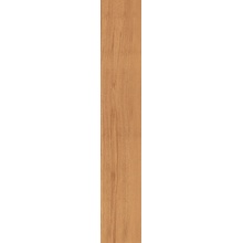 Casalgrande Padana Project Wood С000606007 17100031_PANEVEGGIO gres porcelanato 20x120 cm, Itália, árvore - foto 1 - foto 1