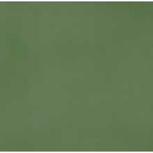 Casalgrande Padana R-evolution С000555831 11950034_R-EvolutionGreen gres porcelanato 60x60 cm, Itália, concreto - foto 1 - foto 1