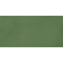 Casalgrande Padana R-evolution С000555790 11830034_R-EvolutionGreen gres porcelanato 30x60 cm, Itália, concreto - foto 1 - foto 1