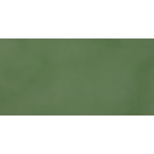 Casalgrande Padana R-evolution С000555740 11461134_R-EvolutionGreenR10 gres porcelanato 60x120 cm, Itália, concreto - foto 1 - foto 1