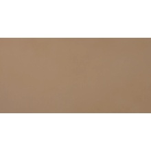 Casalgrande Padana R-evolution С000555792 11830036_R-EvolutionTerra10Mm gres porcelanato 30x60 cm, Itália, concreto - foto 1 - foto 1