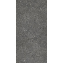 Casalgrande Padana Stile С000624264 014040026_STILE BLACK RET keramisch graniet 45x90 cm, Italië, andere soorten steen - foto 1 - foto 1