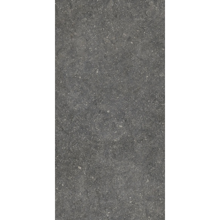 Casalgrande Padana Stile С000623885 014790026_STILE BLACK RET Feinsteinzeug 30x60 cm, Italien, andere steinarten - Foto 1 Casalgrande Padana Stile С000623885 014790026_STILE BLACK RET Feinsteinzeug 30x60 cm, Italien, andere steinarten - Foto 1