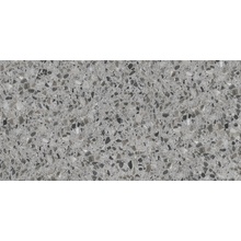 Casalgrande Padana Terrazzo С000524351 12790029_TerrazzoGrey gres porcellanato 30x60 cm, Italia, terrazzo - foto 1 - foto 1