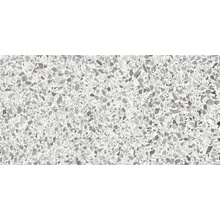 Casalgrande Padana Terrazzo С000524326 12300030_TerrazzoPearl gres porcellanato 37,5x75,5 cm, Italia, terrazzo - foto 1 - foto 1