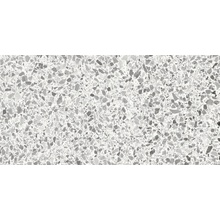 Casalgrande Padana Terrazzo 12300030 Pearl porcelain tile 37,5x75,5 cm, Italy, terrazzo - photo 1 - photo 1