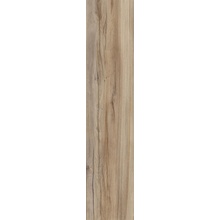 Castelvetro Rustic С000485550 CRT22R22_RusticBeige keramisk granitt 20x120 cm, Italia, trelook - foto 1 - foto 1