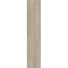 Castelvetro Rustic С000485555 CRT22R4_RusticGrey keramisk granitt 20x120 cm, Italia, trelook - foto 1 - foto 1