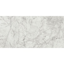 Century Contact 129242 Stone White Naturale Ret keramisch graniet 30x60 cm, Italië, marmerlook - foto 1 - foto 1