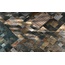 Century Geology 25x25, porcelanato esmaltado, Itália, ardósia (andesito) - foto de interior 20