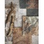 Century Geology 25x25, porcelanato esmaltado, Itália, ardósia (andesito) - foto de interior 3