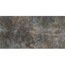 Century Geology С000579115 0128659_FossilTwoNat.50X100 gres porcelanato 50x100 cm, Itália, ardósia (andesito) - foto 1 - foto 1