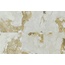 Century Medley С000605587 136284_AmbienceMol.Ret.120X120 porcelain tile 120x120 cm, Italy, onyx - photo 1 Century Medley С000605587 136284_AmbienceMol.Ret.120X120 porcelain tile 120x120 cm, Italy, onyx - photo 1
