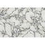 Century Medley С000605588 136286_NoteMol.Ret.120X120 porcelain tile 120x120 cm, Italy, other types of marble - photo 1